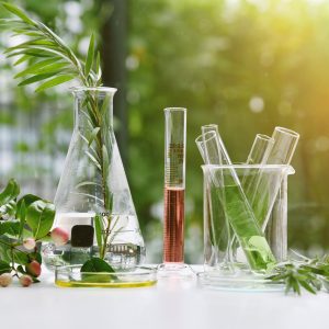 Consultation de naturopathie et d'aromathérapie avec Bilan de Vitalité