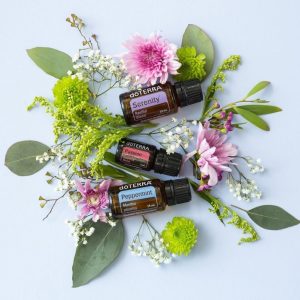 Atelier symphonique alchimique des plantes Jeudi 6 novembre